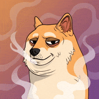 Shiba Inu Smoking GIF by Doge Pound