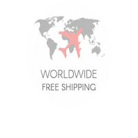lovekini ecommerce shipping swimwear dhl Sticker