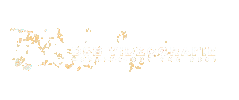 Videografie Dsb Sticker by DSBVisuals
