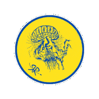 California Frisbee Sticker by Stinging Jellies