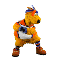 Ice Hockey Sticker by Lehigh Valley Phantoms
