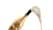ace of spades celebration Sticker by Armand de Brignac