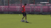 football soccer GIF by FC Bayern Munich