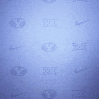 Byu Baseball GIF by BYU Cougars