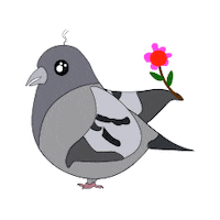 Pidgeon Sticker