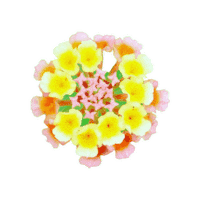 AimerDesign flower 花 aimerdesign Sticker