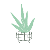 Plant Agave Sticker by Huatan