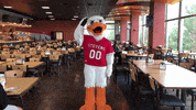 FollowStevens duck american salute veteran GIF