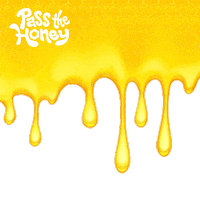 honey bee Sticker by Pass the Honey