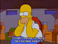homer simpson GIF