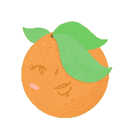 Orange Fruit Summer Sticker