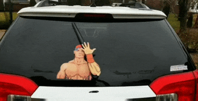 Wwe Wrestling GIF by WiperTags Wiper Covers