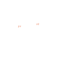 Happy Celebration Sticker