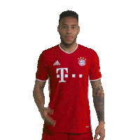 New Jersey Football Sticker by FC Bayern Munich