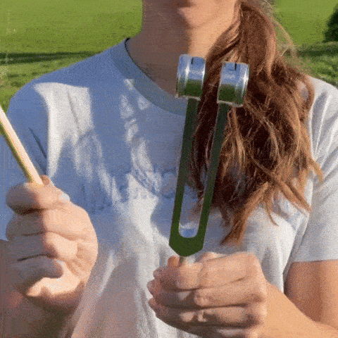 Gif 5