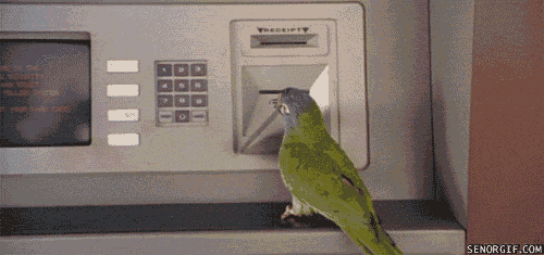 parrot atm GIF