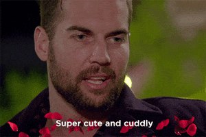 sophie monk GIF by The Bachelorette Australia