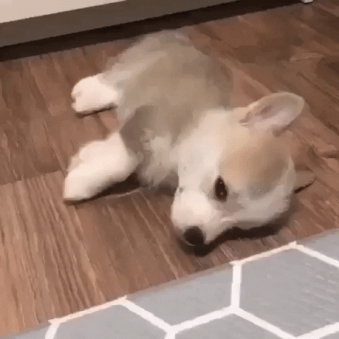 jermbly giphyupload GIF