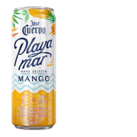 Hard Seltzer Sticker by Casa Cuervo