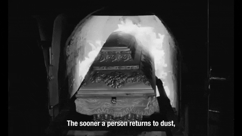 Czechposterman giphygifmaker GIF