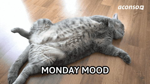 Monday Morning Hr GIF by aconso AG