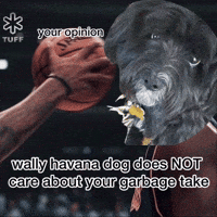 Hockey Wally GIF
