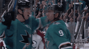 happy ice hockey GIF by NHL