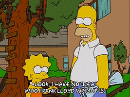 homer simpson GIF
