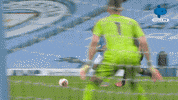 Premier League England GIF by MolaTV