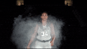 Littlerockwbb GIF by Little Rock Athletics