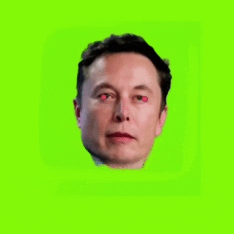 Pizza Elon GIF by Rare Pizzas
