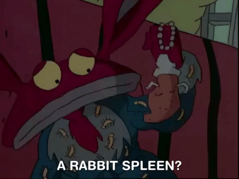 nickrewind giphydvr nicksplat aaahh real monsters giphyarm010 GIF