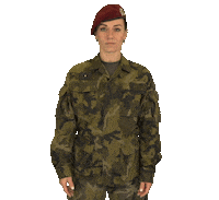 armadaceskerepubliky why really army itoldyou Sticker