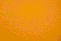 make it rain cash GIF by Kohl's