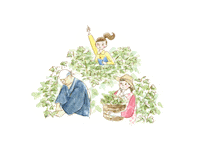 kosecosmeport japan skincare japanese lifestyle Sticker