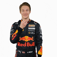 Formula 3 Dennis GIF by Prema Team