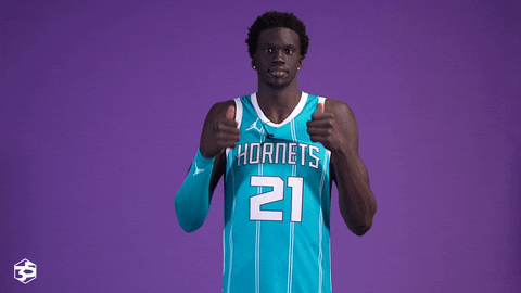 Basketball GIF by Charlotte Hornets