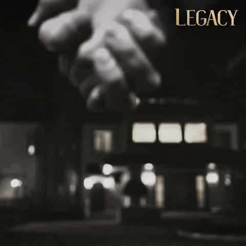 Legacy Emanet GIF by Eccho Rights