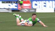 Nrl Starling GIF by Canberra Raiders