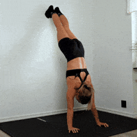 Calisthenics Exercises GIF