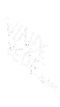 Padres Sticker