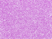 100 Percent Woman GIF by GIPHY Studios 2021