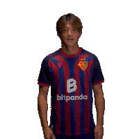 Football Soccer Sticker by FC Basel 1893