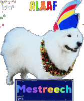 Carnaval Benji Sticker
