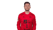 Happy Handball-Bundesliga Sticker by LIQUI MOLY HBL