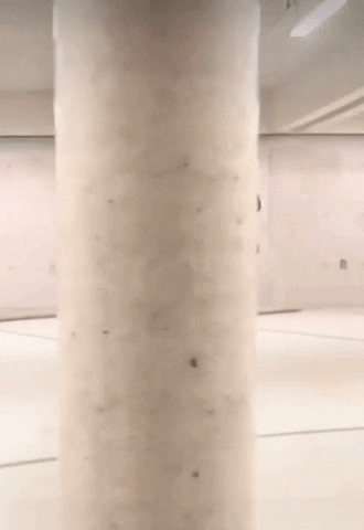 DualtoneMusicGroup happy dance dancing black GIF