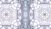 Art Video GIF by jorgemariozuleta