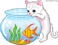 cute kitten STICKER