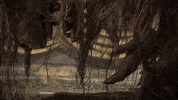 From Software Announcement GIF by BANDAI NAMCO