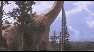GIF by Josni B. 